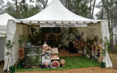 Hifas da Terra viaja hasta Tineo para participar en Asturforesta 2017