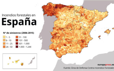La plantación de frondosas podría reducir considerablemente los incendios en España